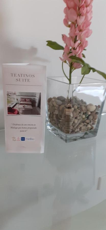 Teatinos Suite 马拉加 外观 照片